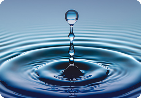 Sustainability (1)